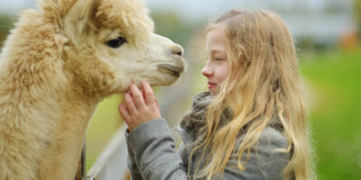 Darum ist Alpaka Wolle für Kinder besonders gut geeignet