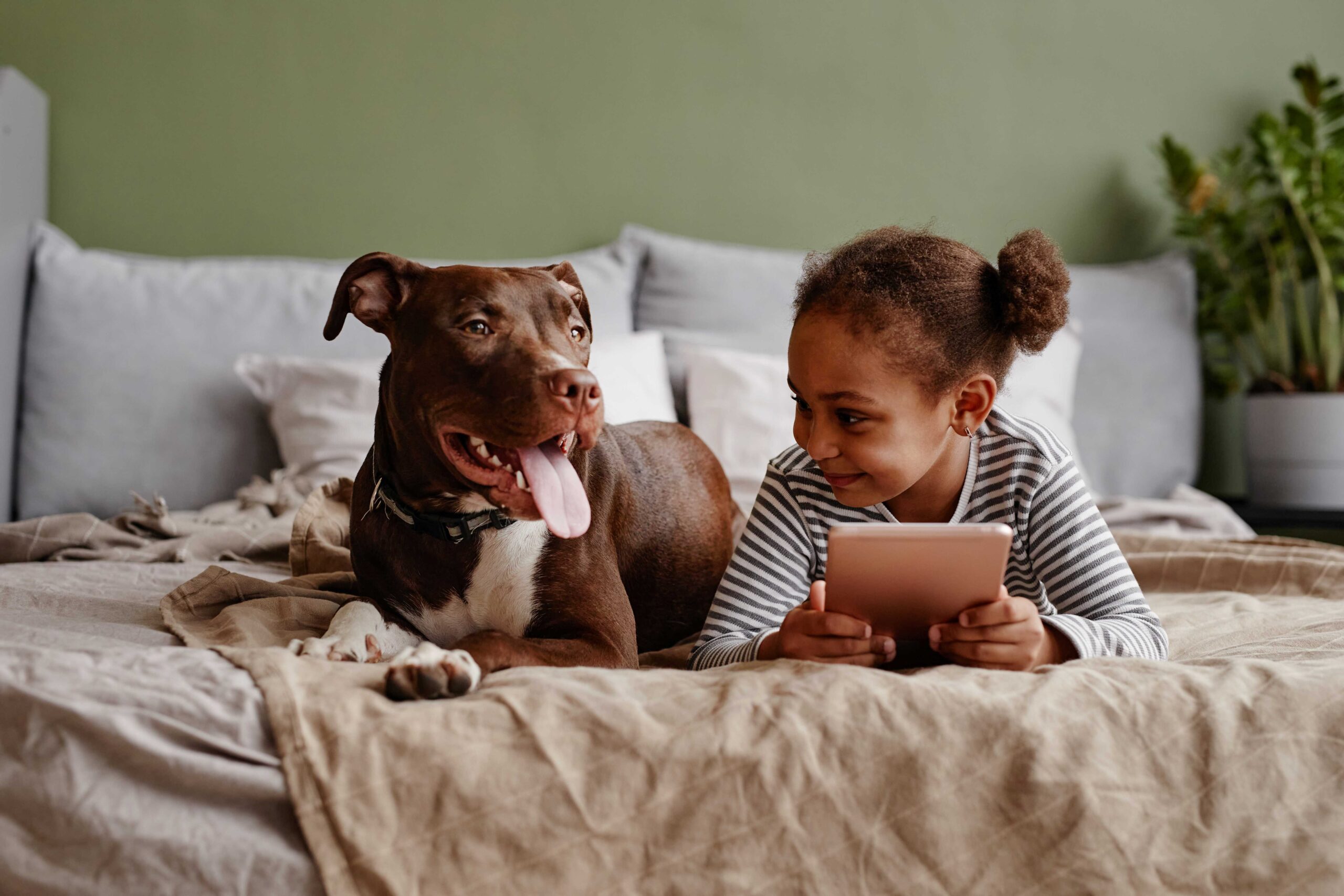 Frontalansicht eines Porträts eines süßen afro-amerikanischen Mädchens, das auf dem Bett mit einem großen Haustierhund liegt und lächelt, Platz für Text.